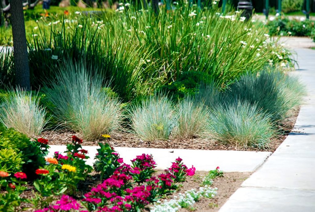 Central Cal Landscaping Service Landscape Maintenance and Care